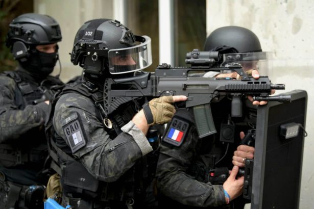 DSGI agents training